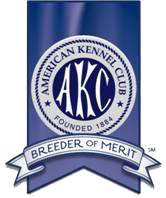 AKC Breeder of Merit Badge